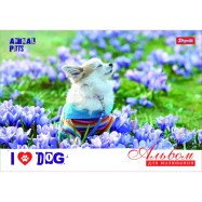 Альбом для рисования А4 20л/120 скоба, (д)