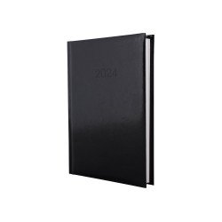 Ежедневник датированный 2024, Economix, FLASH, черный, А5
