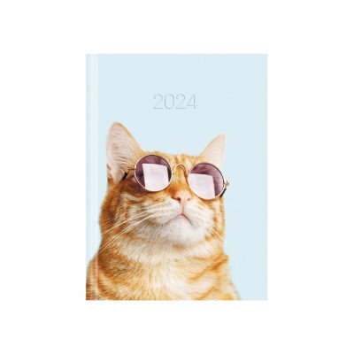 Щоденник датований, А5
