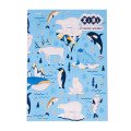 Блокнот PATTERN, А-5, 64 арк., кліт., ітгр. обкл., мат. лам.+Уфлак, KIDS Line, блакитний