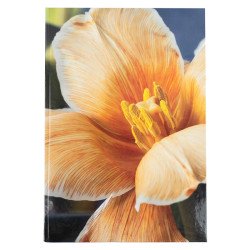 Книга записная  А4, 192листов  клетка Flora, желтая