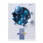 Книга канц. А4 60л. клетка обл.мягкая, офс. БРИСК