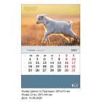 Календарь настенный на пружине 2027 Эконом, фото