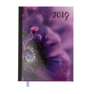 Ежедневник датированный 2019 SPOLETO, A5, 336 л, фиолетовый Ежедневник датированный 2019 SPOLETO, A5, 336 л, фиолетовый