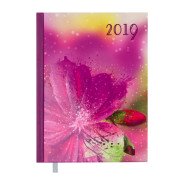 Ежедневник датированный 2019 SPOLETO, A5, 336 л, малиновый Ежедневник датированный 2019 SPOLETO, A5, 336 л, малиновый
