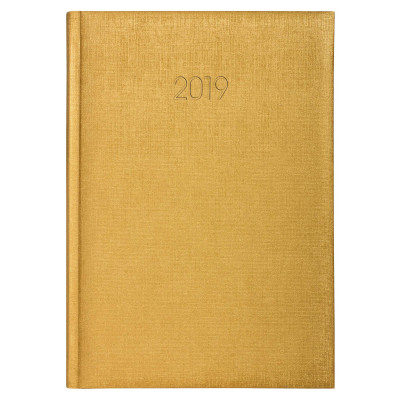 Щоденник датований 2019 Economix, GALA, золото, А5