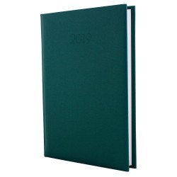 Щоденник датований 2019, Economix, CAPYS, темно-зелений, А5