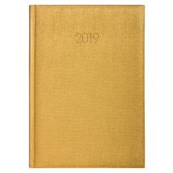 Ежедневник датированный 2019, Economix, GALA, золото, А5