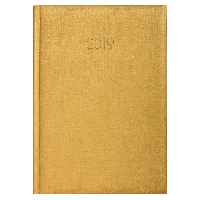Щоденник датований 2019 Economix, GALA, золото, А5