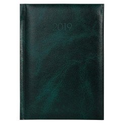 Щоденник датований 2019 Economix, PRIME, зелений, А5