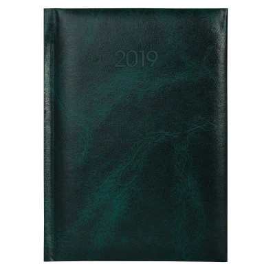 Ежедневник датированный 2019, Economix, PRIME, зеленый, А5