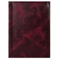 Щоденник датований 2019 Economix, PRIME, бордо, А5