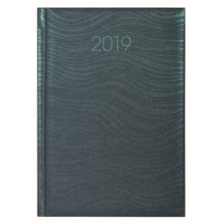 Ежедневник датированный 2019, SEA, зеленый (смарагд), А6