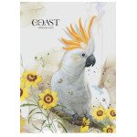 Тетрадь скоба, А4/80л клетка, белый блок, 60г/м2, картон, виб.УФ-лак