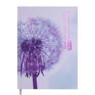 Щоденник дат. 2021 NOVEL , A5, 336 стор., фіолетовий Щоденник дат. 2021 NOVEL , A5, 336 стор., фіолетовий