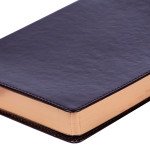 Ежедневник А5 дат. Leo Planner "Aldento", 2021, интегр., 384+2 стр, коричневый