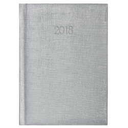 Щоденник датований 2018 Economix, GALA, срібло, А5