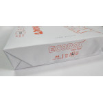 Бумага для офисной печати А4 Ecorox power 500 л. белая