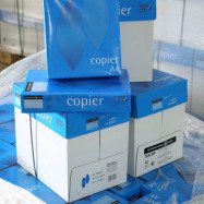 Бумага  А4 80г/м 500 л. Tecnis Copies