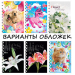 Блокнот А6 72л.кл.,цв.лам.обл.,тв.пер. бок. пружина,офсет