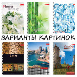 Блокнот А5 80арк. тв. бок. пруж.