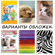 Блокнот А6 72л.кл.,цв.лам.обл.,тв.пер. бок. пружина,офсет