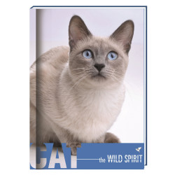 Блокнот А6 80 л. "Wild Spirit", картон з поролоном, клетка, "кошка"