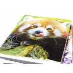 Записна книжка 32л. ф-А6+УФ лак "GOLD" скоба
