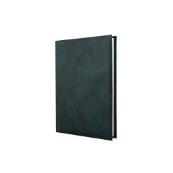 Ежедневник датированный 2019, Economix, OFFICE, зеленый, А5