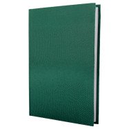 Ежедневник датированный 2021, Economix, SNAKE (ЗМЕЯ),голубой А5