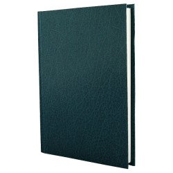 Ежедневник датированный 2017, Economix, СТИЛЬ, зеленый, А5