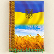 Щоденник А5 96арк..клітина ламінац. 60г/м нац.символика не датов.