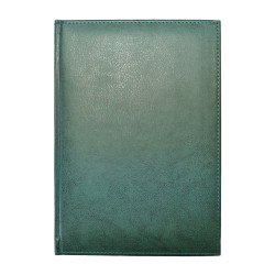 Ежедневник недатированный, Brisk, InfolkMiradur 43, зеленый, А5