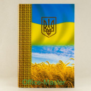 Книга амбарнаА4200л.7*7ламінація 65гр/м2 символіка тиснення "Герб",клітина нитки