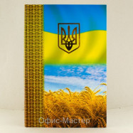 Книга амбарная А4 200л.ламинация 65гр/м2 клетка "ГЕРБ"