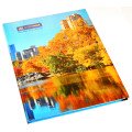 Книга канц. А4, 96 л. кл. тв. обл. "Міста. Сезони" офс.