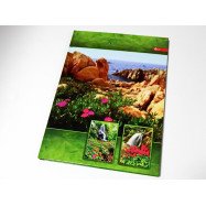 Книга канц. А4, 80 л. кл. тв. обл.