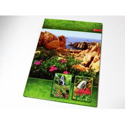 Книга канц. А4, 80 л. кл. тв. обл.