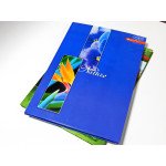 Книга канц. А4, 80 л. кл. тв. обл.