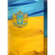 Папка-бокс на липучке А4 ассорти 35мм.