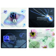 Папка пластикова А4 на гумках Optima "X-RAY", асорті