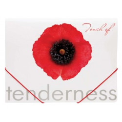 Папка на резинке А4 - "Мак" L5131
