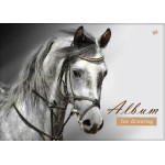 Альбом для рисования на пружине , 20л, 120г,  YES 130261/130259/130256 (уп-3 шт)