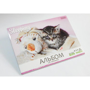 Альбом для рисования А4 20л/120 склейка (д)