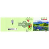 Альбом 2016 А4, клеєний, 70г, 40аркушів, обкл.крейд.150г