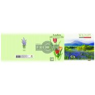 Альбом 2016 А4, клеєний, 70г, 40аркушів, обкл.крейд.150г