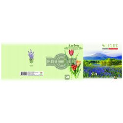 Альбом 2016 А4, клеєний, 70г, 40аркушів, обкл.крейд.150г