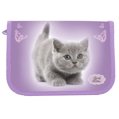 пенал 1-яр.,пустой с 1 отв.,"Lovely Kitty", 210/230D Nylon,94021, CLASS