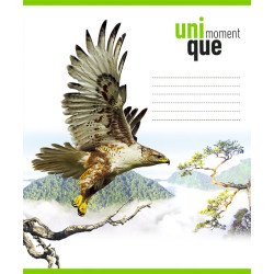 Зошит учнівський, 12арк., коса лінія , ВД-лак, Школярик