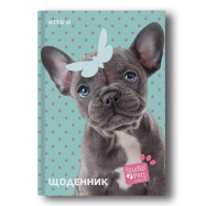 Дневник школьный, твердая обл, SP-2